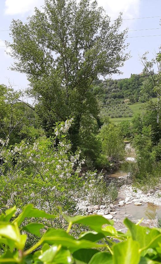 Podere Pian Dei Gelsi Volterra Exterior photo