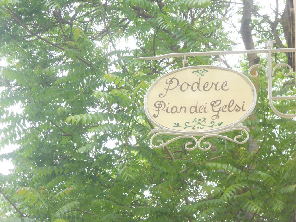 Podere Pian Dei Gelsi Volterra Exterior photo